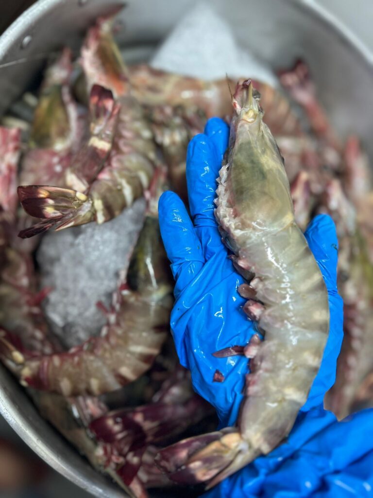Inside Chef June’s Kitchen: Where Everything Starts from Scratch